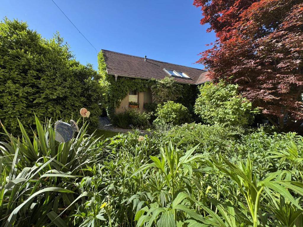 a house with a lot of plants in the yard at Ferienhaus Klöber in Lichtenhain
