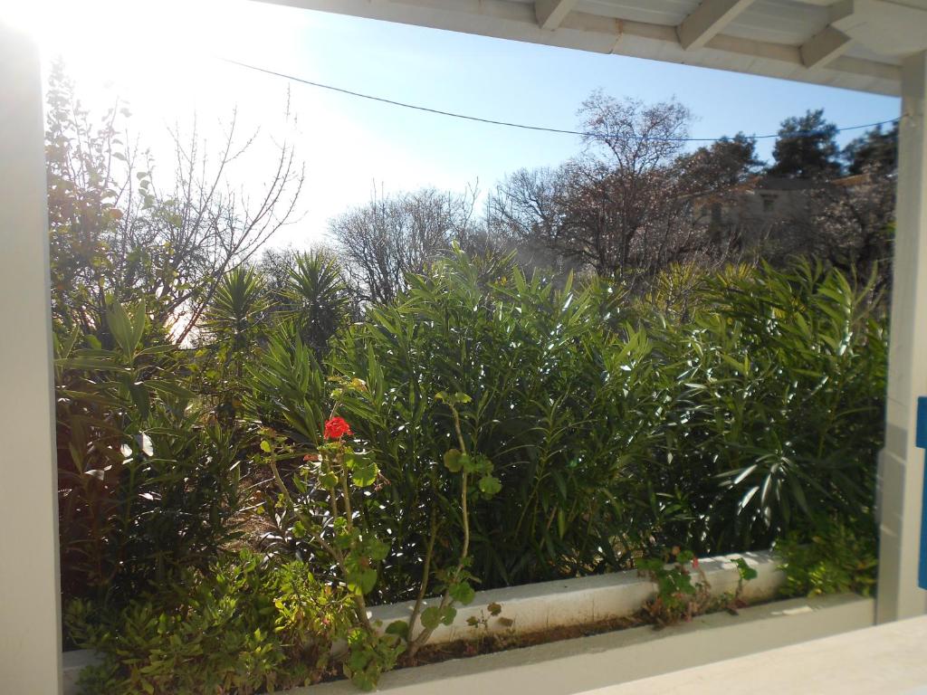 uma janela com vista para um jardim com uma flor vermelha em Blue White House em Kalamitsi