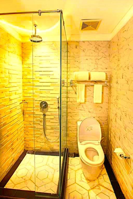 a bathroom with a shower and a toilet at Hotel Madhurika Palace in Dhanbād