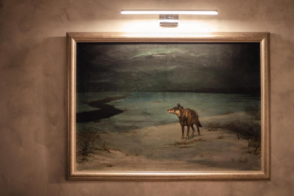 Zvířata v apartmánu nebo okolí