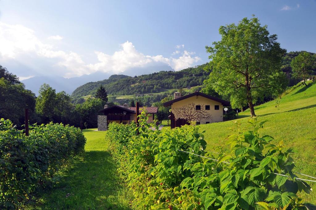 ein Haus auf einem Hügel mit einem grünen Feld in der Unterkunft Quader Nidi nel Verde Authentic Farm Stay in the Italian Alps in Bienno