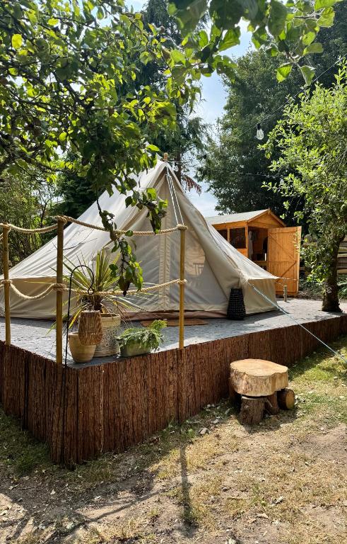 a tent in a yard with a wooden fence at The Pip and Lantern in Rye