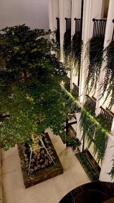 an overhead view of a tree in a building at Indigen Boutique Hotel Cao Bang in Cao Bằng
