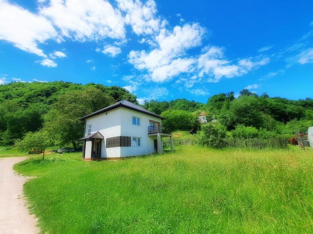 a house in a field next to a dirt road at Family Nature Escape in Malešići