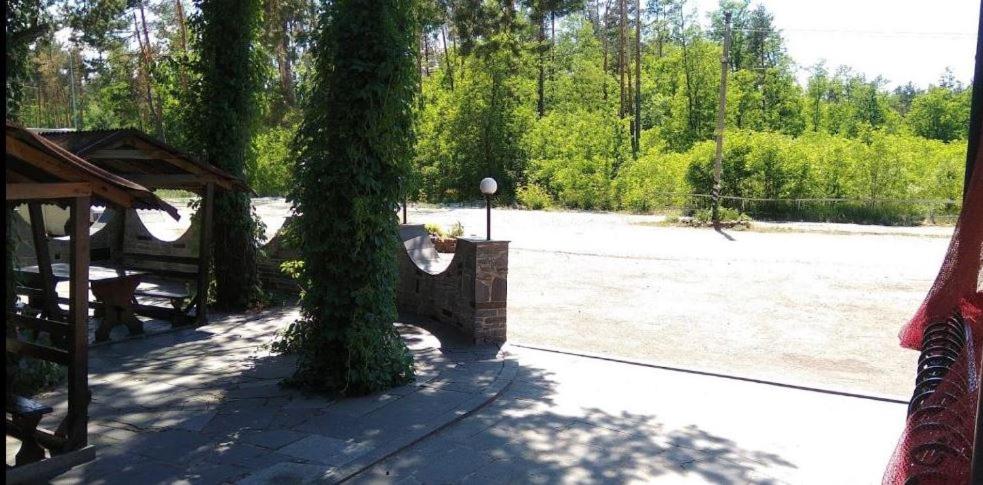 a large tree sitting next to a picnic table at Кафе Готель Люкс in Tsarivka