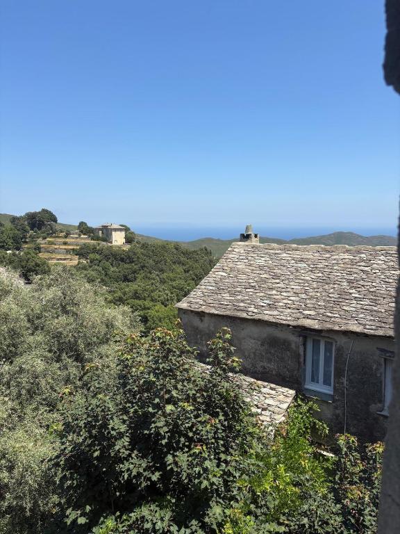 an old house on a hill with bushes and trees at A Casuccia Sischese in Sisco