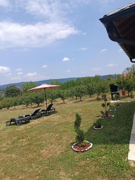 a group of chairs and an umbrella in a field at Vikendica Bambi - Vrdnik in Vrdnik