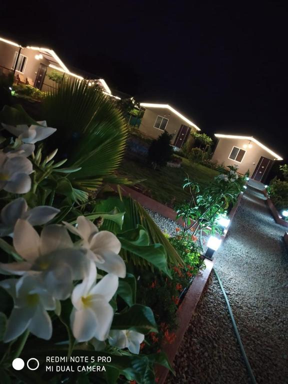a yard with white flowers in front of a house at Valley Vibes in Rāmanagaram