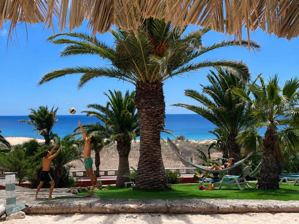 a group of people playing volleyball under palm trees on the beach at Porto Santo Destination in Porto Santo