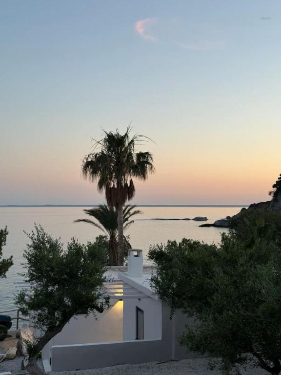a white house on the beach with a palm tree at Aigialos Villas with Private Beach by Hospi Living in Ferma
