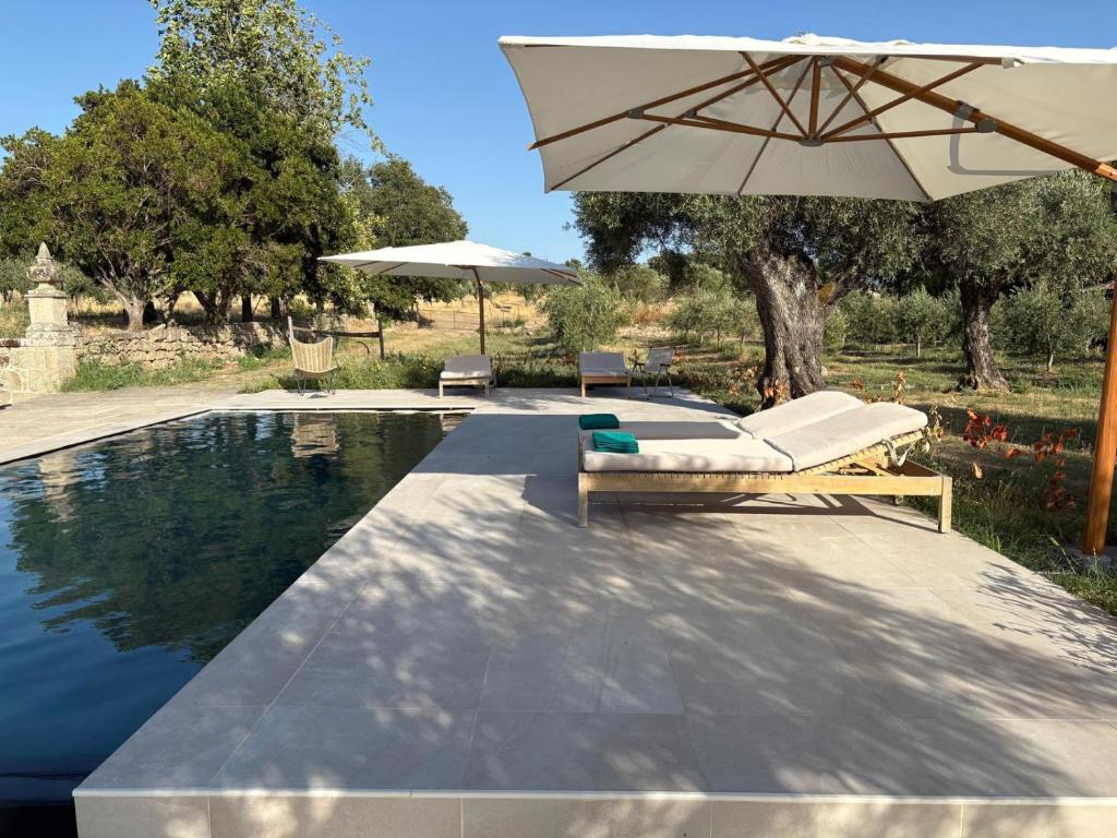 a pool with an umbrella and a couch and a table and an umbrella at 199 - Quinta dos Carvalhos in Castelo Branco