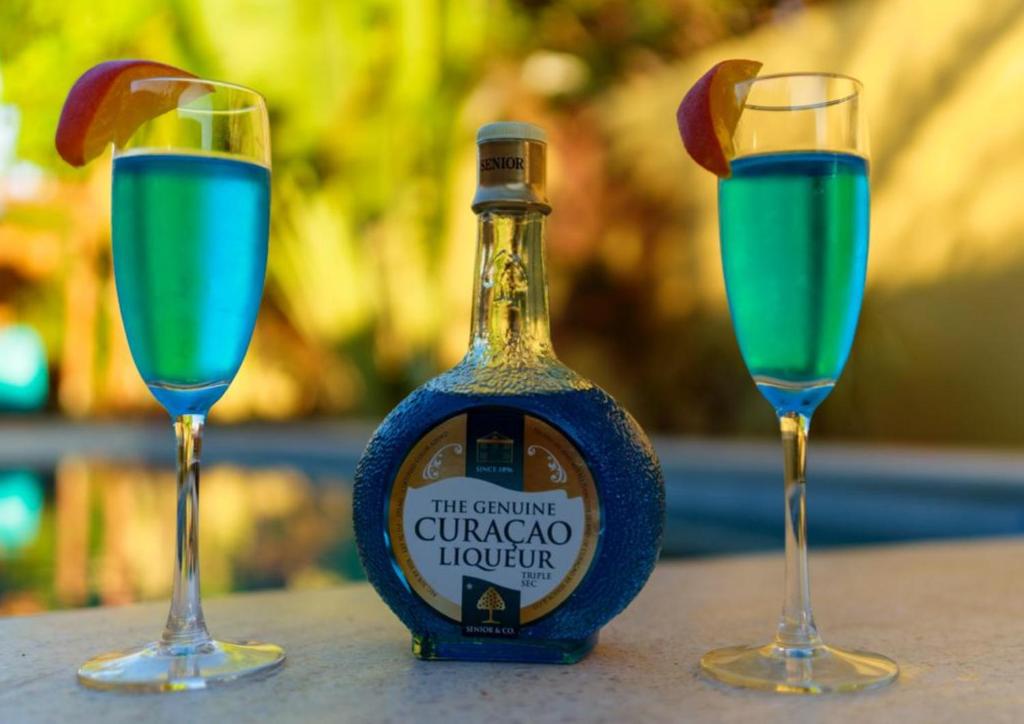 two glasses of a blue drink next to a bottle of gin at Toni Kunchi - Authentic Curaçao Hospitality in Willemstad