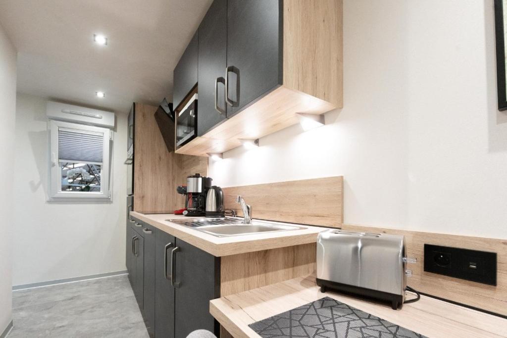 a small kitchen with a sink and a counter at Studio Le Quartz tout inclus petitdéjeuner in Éloyes