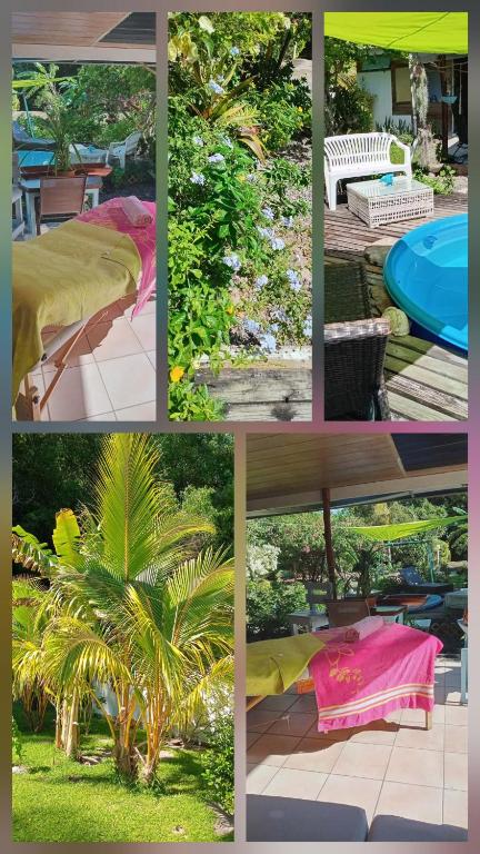 Chez Anna et Hugues - photo 11 - Moorea, Polynésie