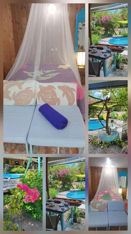 Chez Anna et Hugues - photo 12 - Moorea, Polynésie