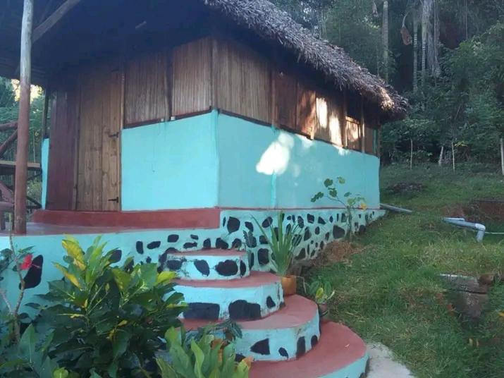 a small house with a thatched roof and a building at Lokobe Djema Forest Lodge in Nosy Be