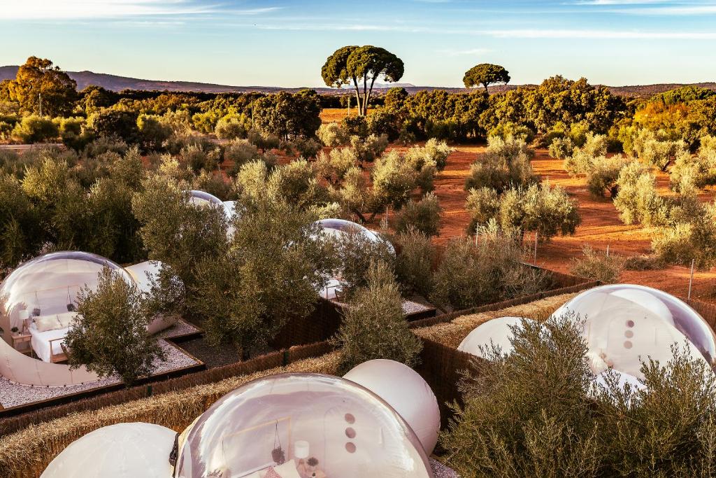 an aerial view of a desert with trees at Burbujas cerca de Ronda in Ronda