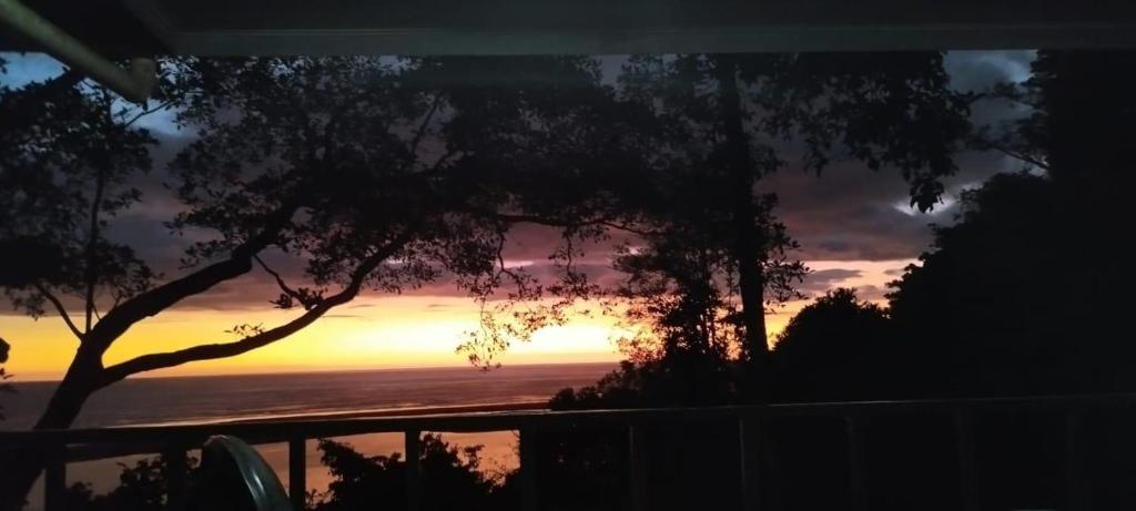 a view of a sunset from a balcony with a tree at Club Fred in Ojochal