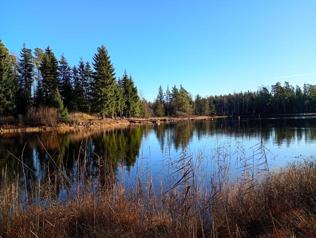 a large lake with trees on the side of it at Seeblickwohnung Aäng 6 Pool, Billard in Mjöhult