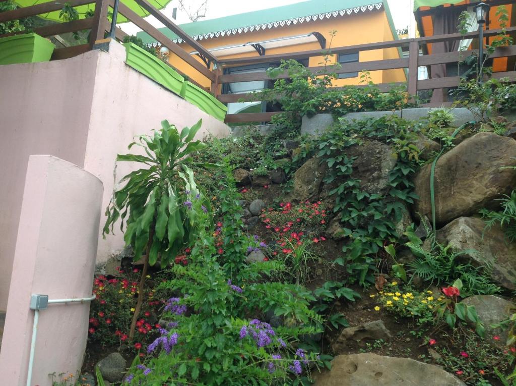 un jardín con flores al lado de un edificio en Chez Dolores, en Le Bois de Nèfles