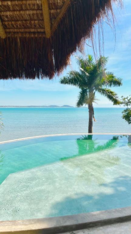a palm tree on a beach with the ocean at Contemporary architecture by the sea in Búzios