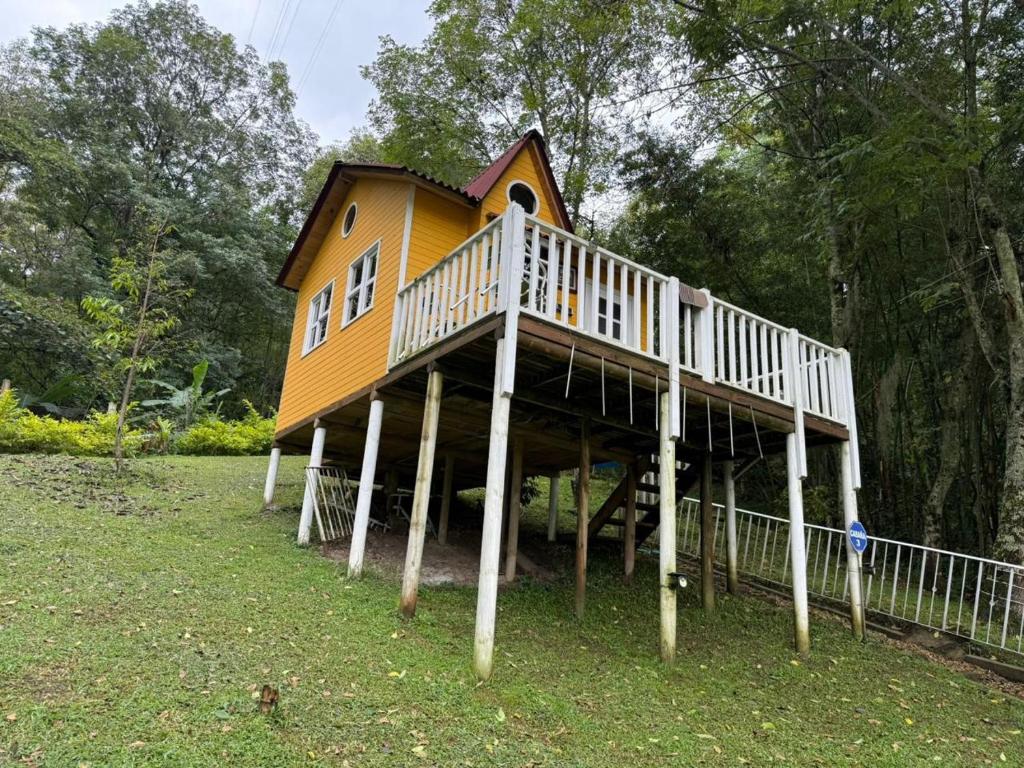 a house on stilts in the middle of a field at Cabañas Creation Garden - Espacio de Vida Saludable in San Francisco