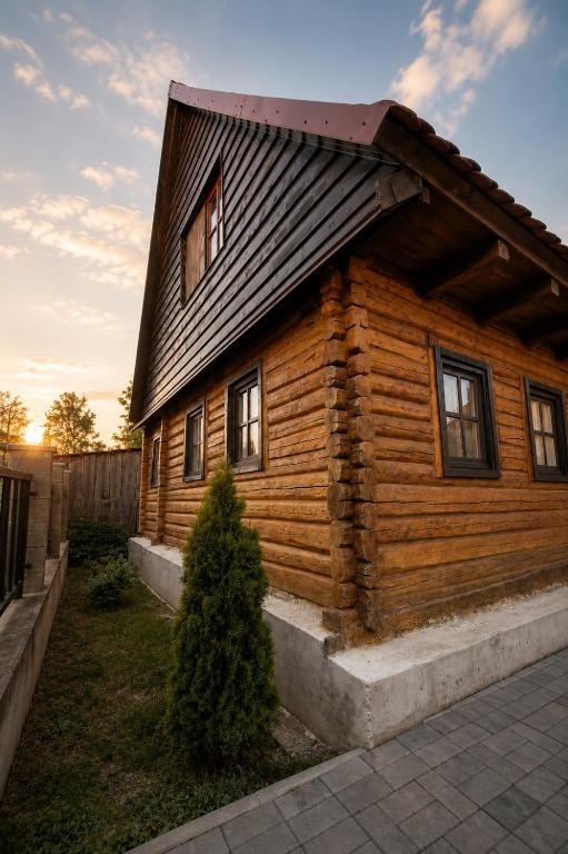 a wooden cabin with a roof on top of it at Căsuța cu tihnă in Porumbacu de Sus