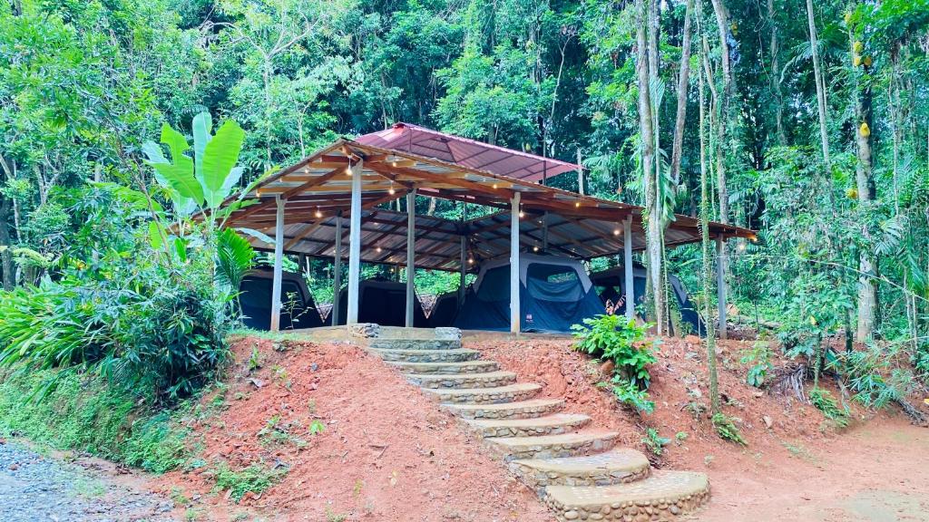 a house with steps leading up to it in the woods at Seravelle Adventure Camping in Kitulgala