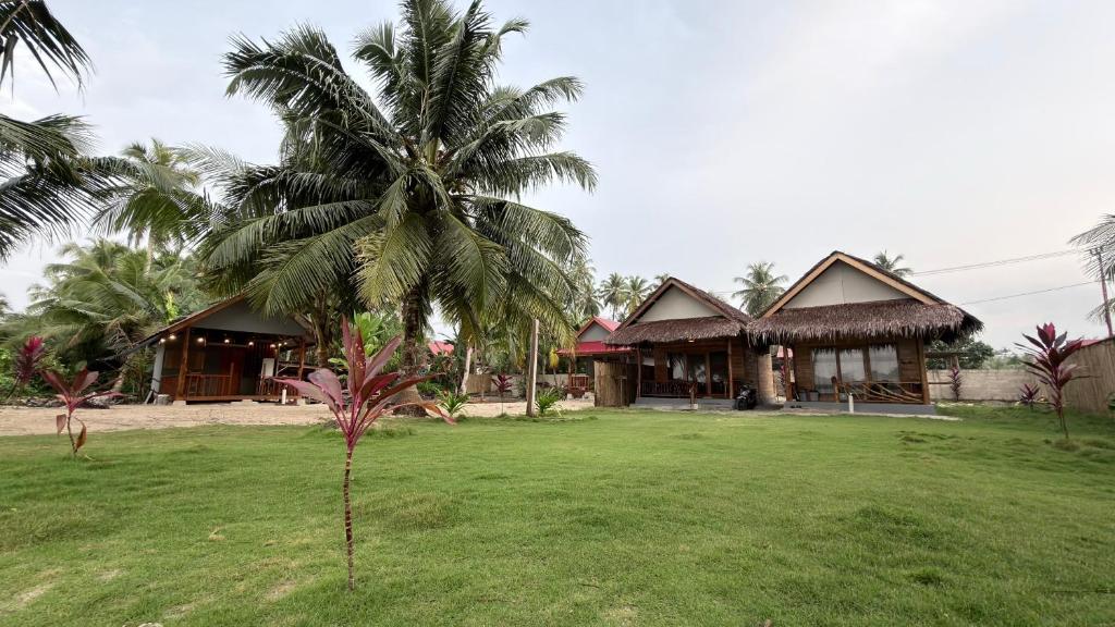 a palm tree in front of a house at Bintang Left Homestay Mentawai in Katiet