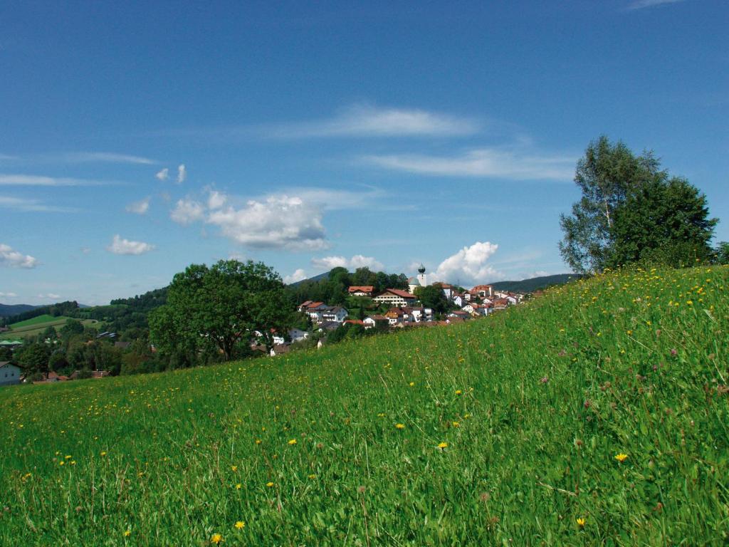 Příroda nedaleko hotelu