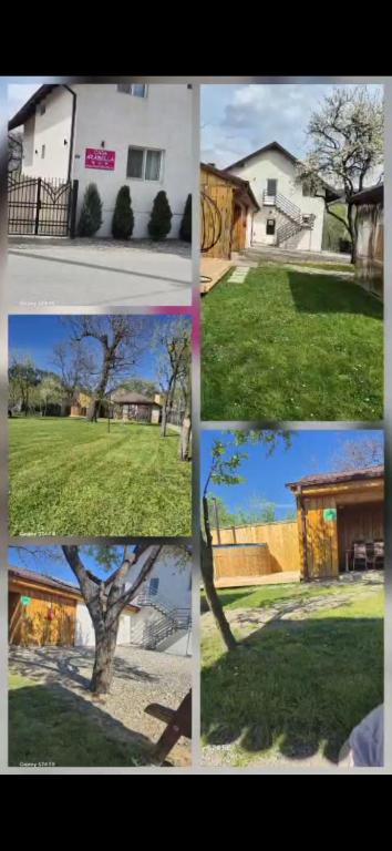 a group of four pictures of houses and a tree at Casa Arabela in Vişeu de Sus