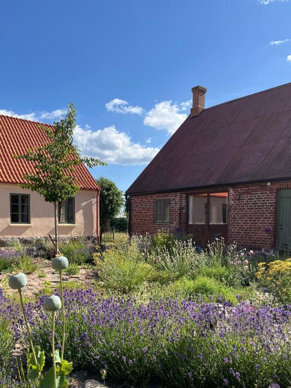 a garden with purple flowers in front of a house at Modern seaside barn in Borrby