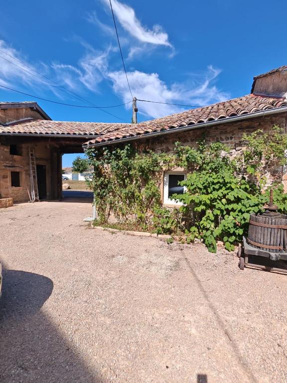 a building with a ivy covered wall and a bench at Clos de la Vigne Saint Roch in Crêches-sur-Saône