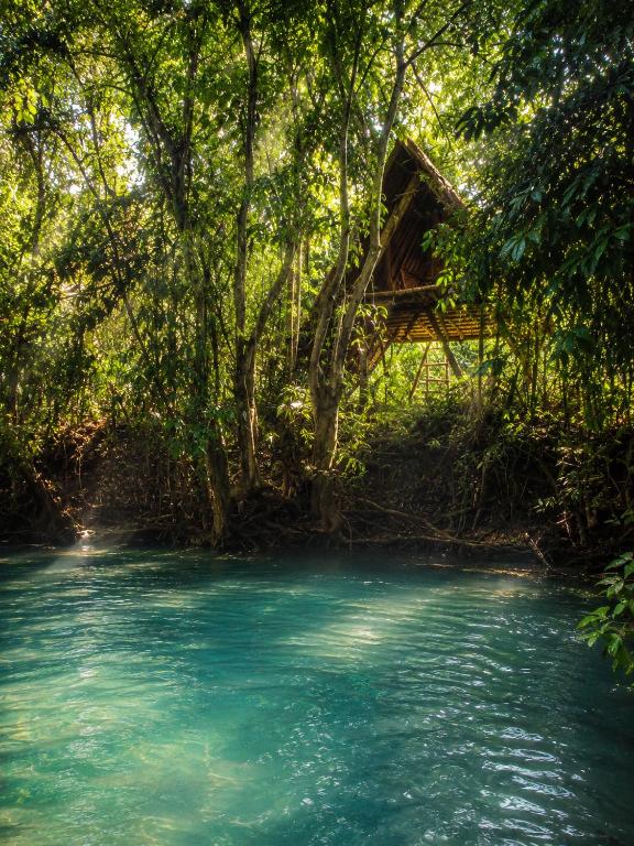 a bridge over a river with blue water and trees at Ecocio Explorations in Coron