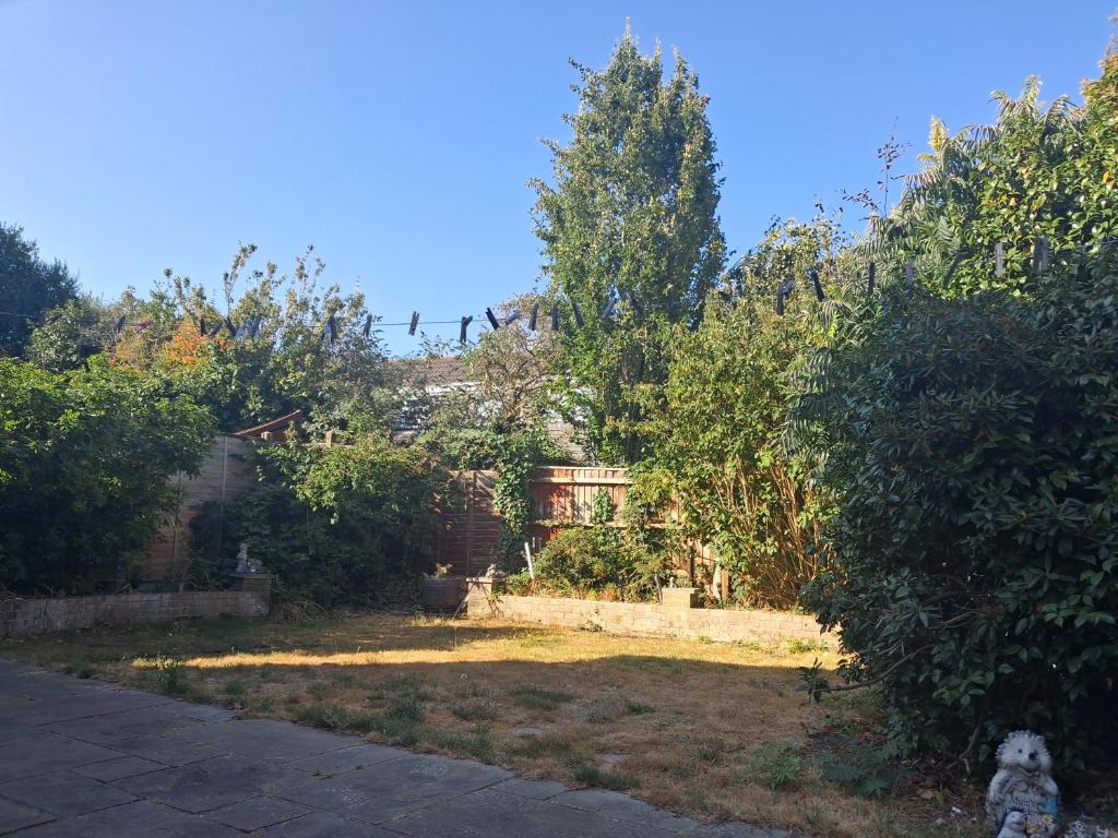 a backyard with a yard with trees and bushes at Home from home Single or double room Netflix or Virgin TV Wifi & free parking in Poole