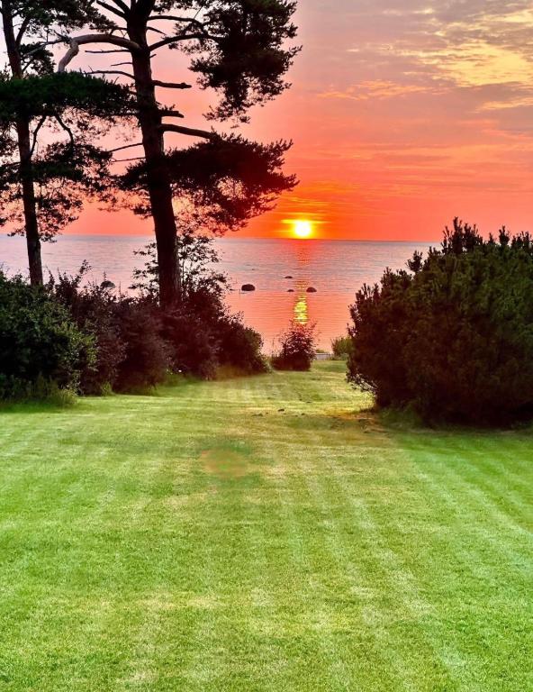 ein Sonnenuntergang über dem Meer mit einem Grasfeld in der Unterkunft Sea Breeze Cottage in Eisma
