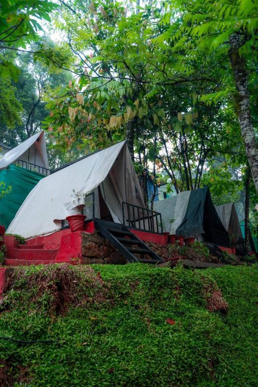 a group of tents in a field with trees at Echo Haven Glamping Tent Munnar in Munnar