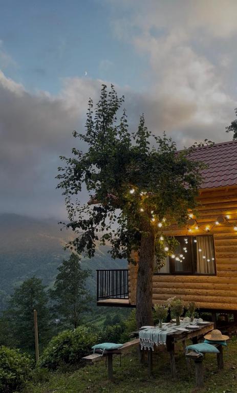 a house with a table and a tree with lights at OHANA Cottages in Merisi in Merisi