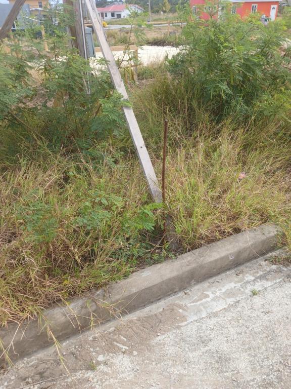 a pole in a field of tall grass at Vacant Land in Saint Philip