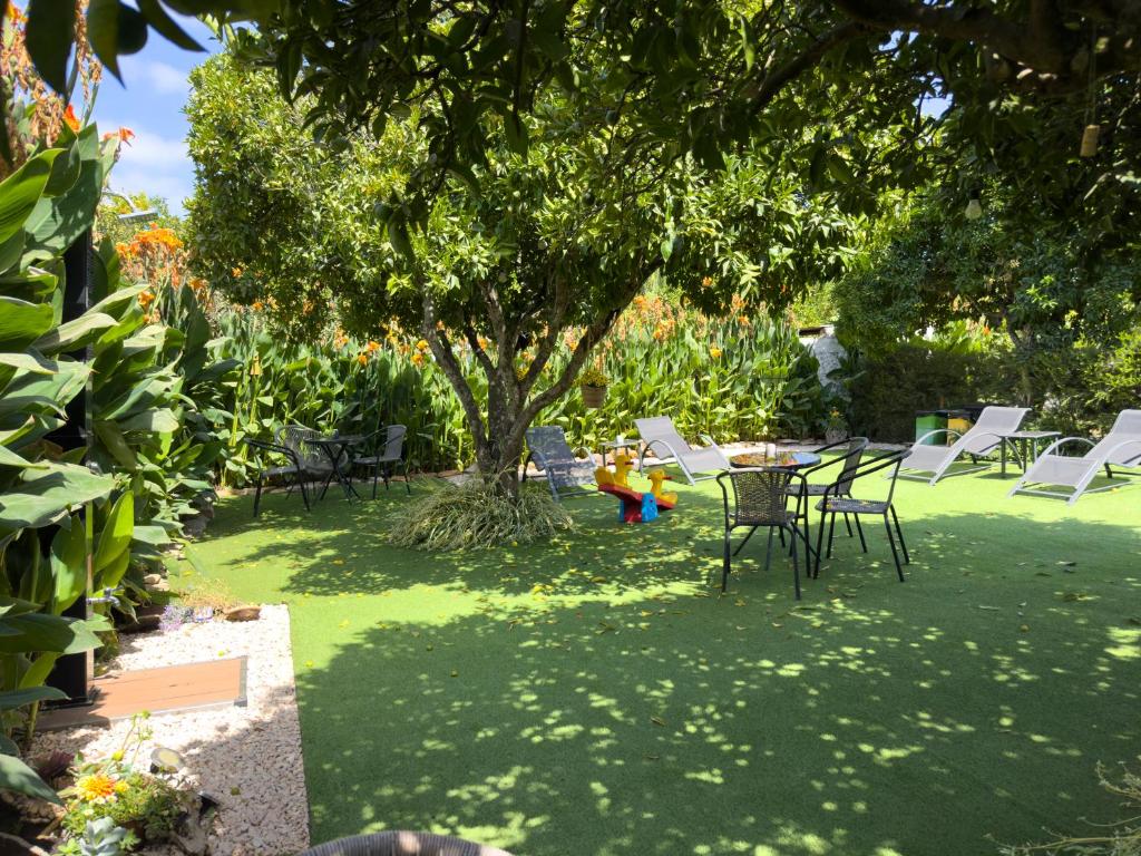 a lawn with chairs and a table and a tree at Casa do Chafariz in Cercal
