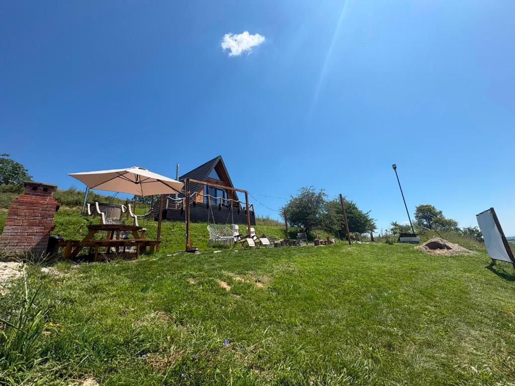 a picnic table and an umbrella in a field at Cabana A-frame City View Târgoviște in Valea Voievoziilor