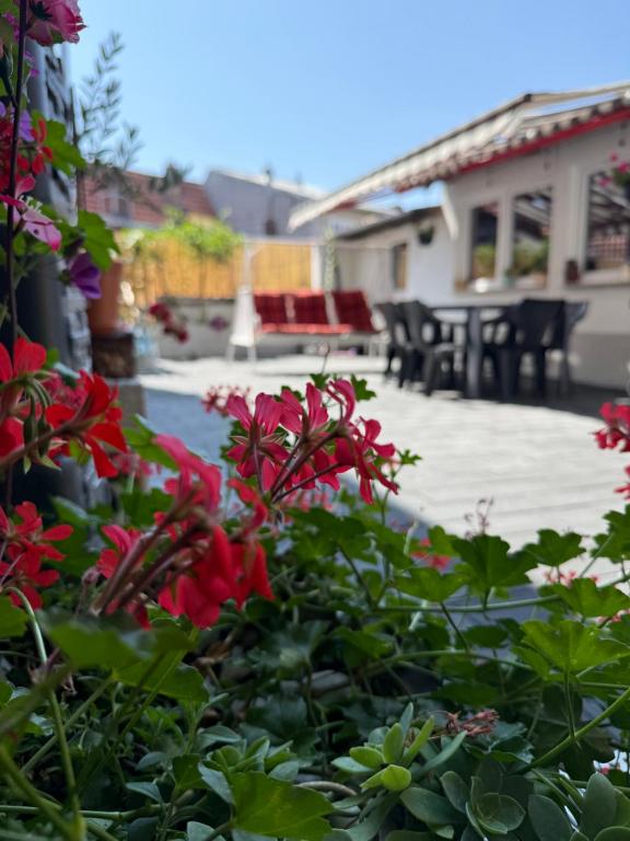 a garden with red flowers in front of a house at Altstadtnest mit großem Garten in Bad Sooden-Allendorf