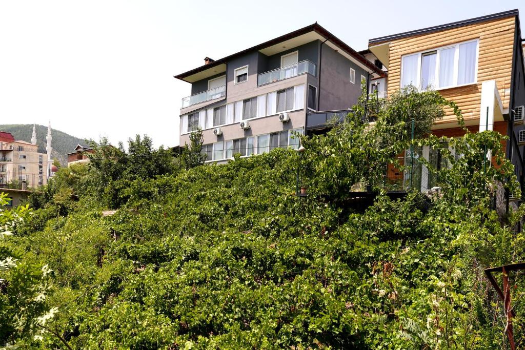 a house on top of a hill with bushes at HOME 12 in Librazhd