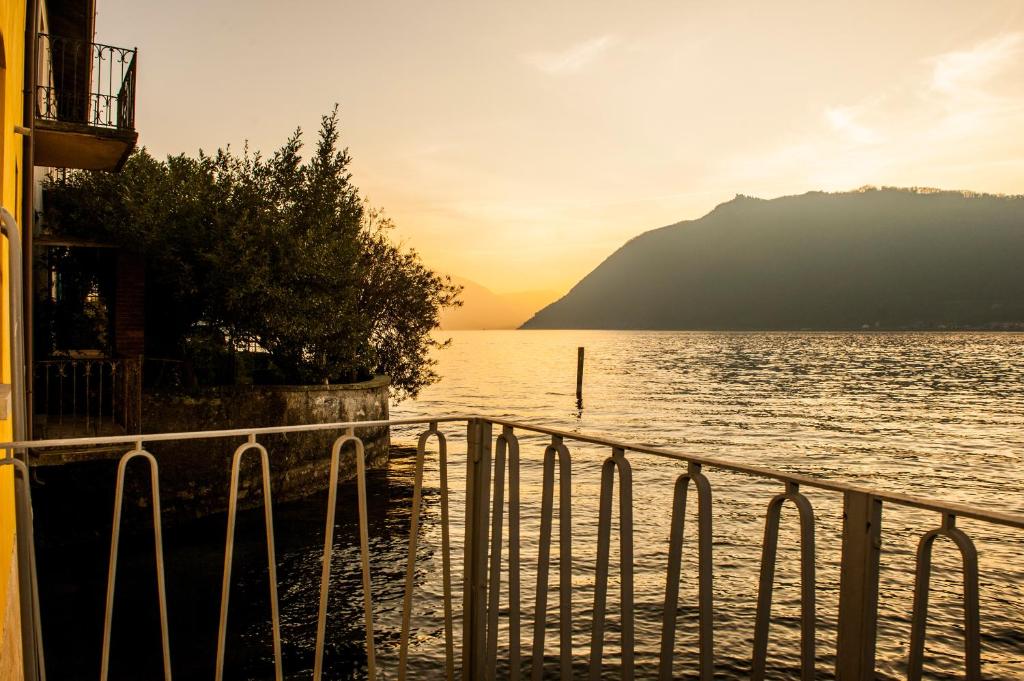 Naturlandskabet i nærheden af lejligheden