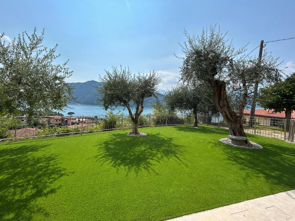 two trees in a yard with green grass at Casa vacanza Giardinolago in Sale Marasino