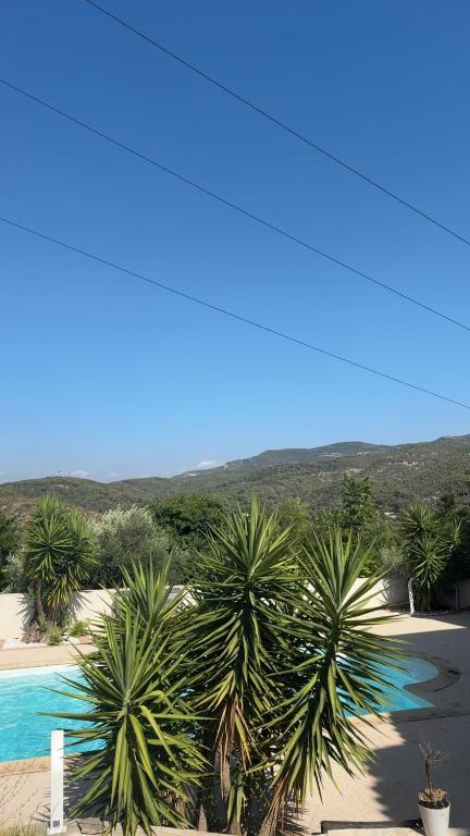 a group of palm trees next to a swimming pool at Azure Pool Villa in Marseille