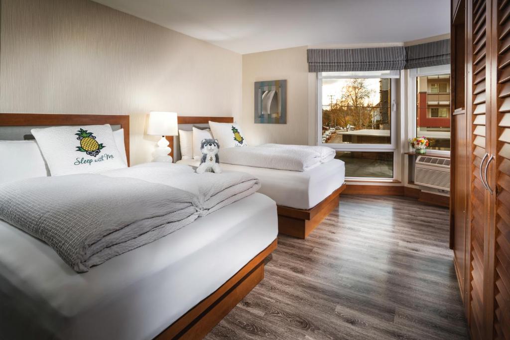 Staypineapple, Watertown, University District Seattle - 