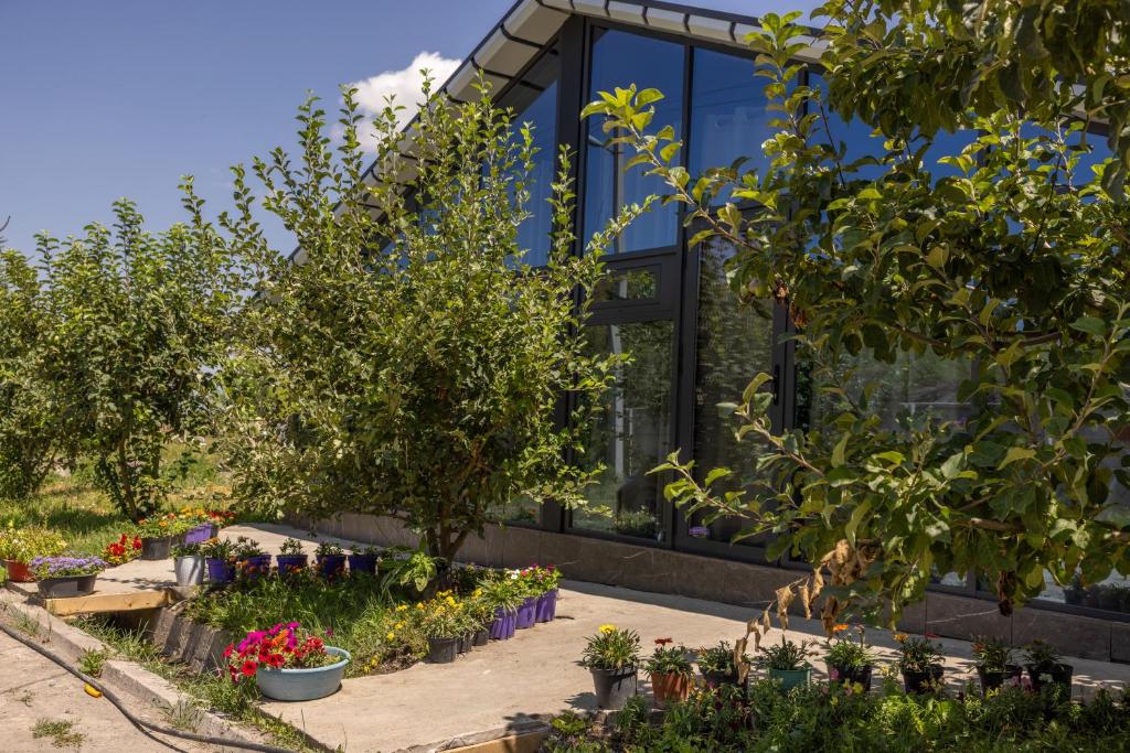 a house with plants in front of it at FlowerHouse in Karakol