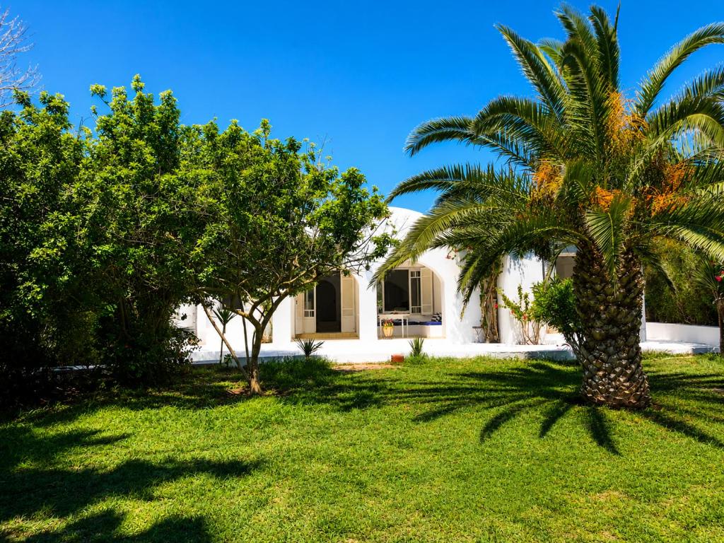 a palm tree in front of a house at Maison de la Mer in Ḩammām al Ghazzāz