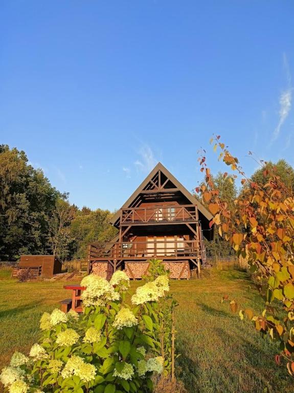 a log cabin in the middle of a field with flowers at Domek w górach Łubinowa 6 in Międzylesie